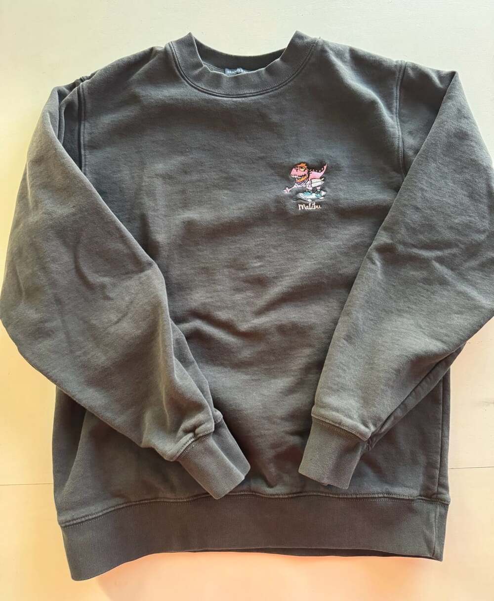 Brandy Melville Malibu Dinosaur Embroidered Crewneck Sweatshirt Washed Black